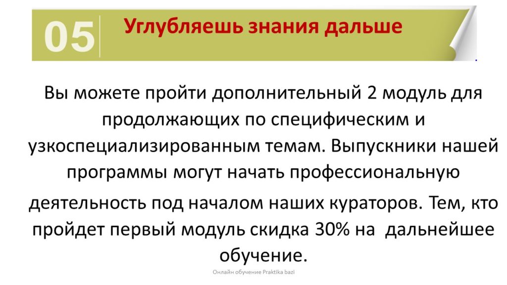 уроки бацзы обучение и наставничество